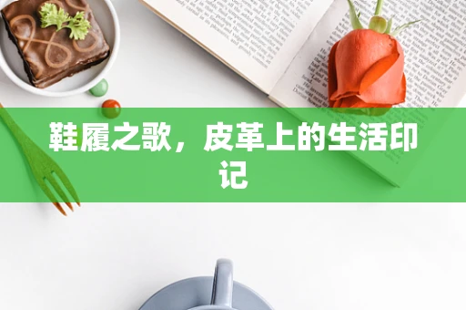 鞋履之歌，皮革上的生活印记