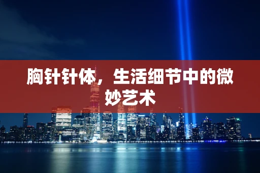 胸针针体，生活细节中的微妙艺术