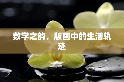 数学之韵，版画中的生活轨迹