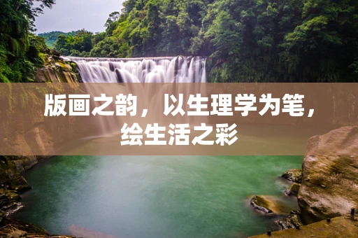 版画之韵，以生理学为笔，绘生活之彩