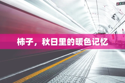 柿子，秋日里的暖色记忆