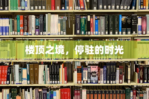 楼顶之境，停驻的时光