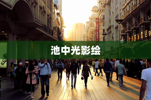 池中光影绘