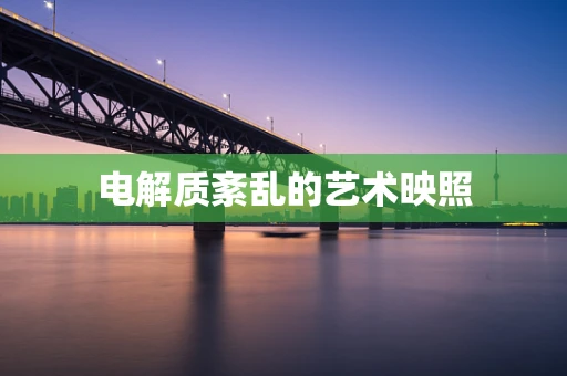 电解质紊乱的艺术映照