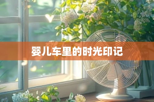婴儿车里的时光印记