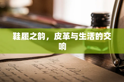 鞋履之韵，皮革与生活的交响