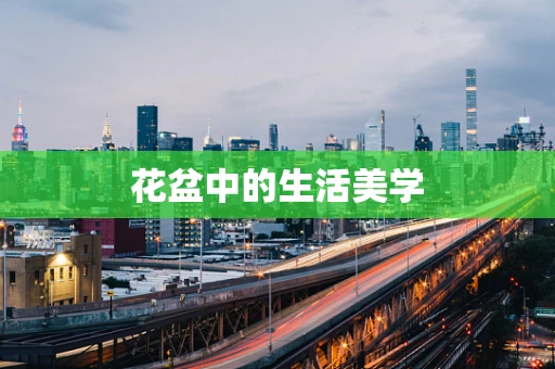 花盆中的生活美学