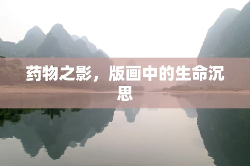 药物之影，版画中的生命沉思