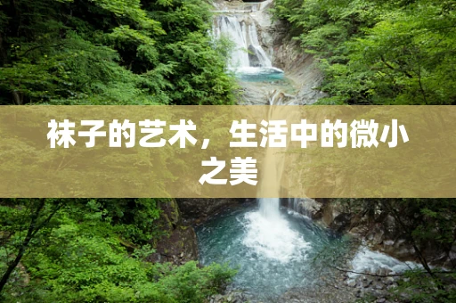 袜子的艺术，生活中的微小之美