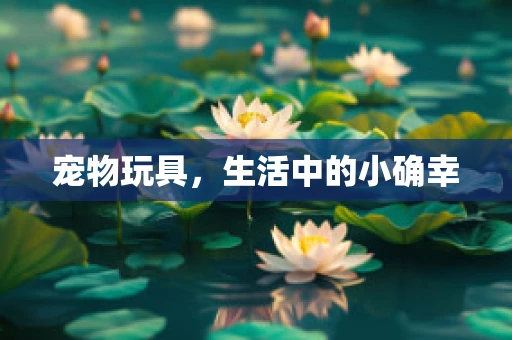 宠物玩具，生活中的小确幸