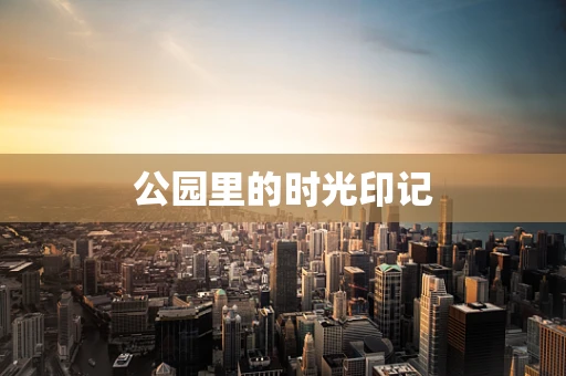 公园里的时光印记