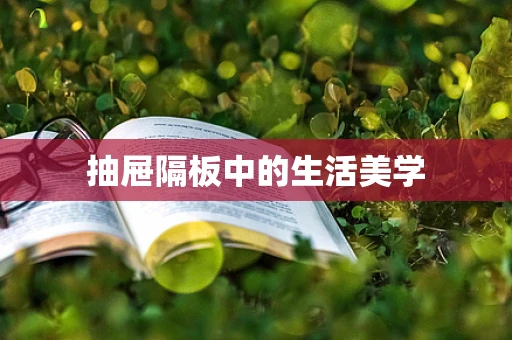 抽屉隔板中的生活美学