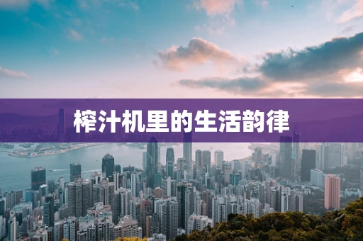 榨汁机里的生活韵律