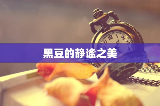 黑豆的静谧之美