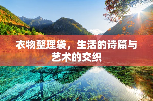 衣物整理袋，生活的诗篇与艺术的交织