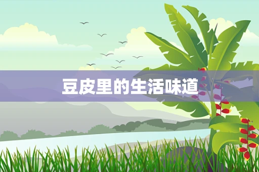 豆皮里的生活味道