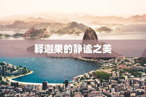 释迦果的静谧之美