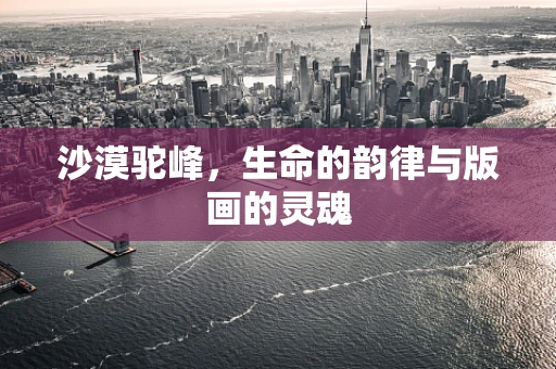 沙漠驼峰，生命的韵律与版画的灵魂