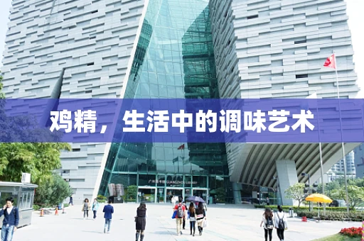 鸡精，生活中的调味艺术