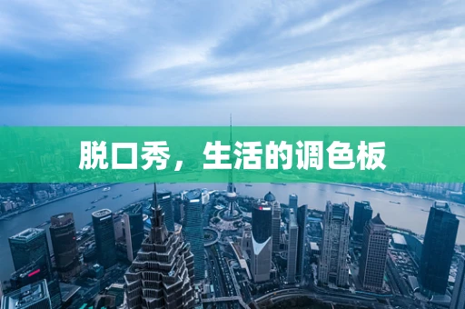 脱口秀，生活的调色板
