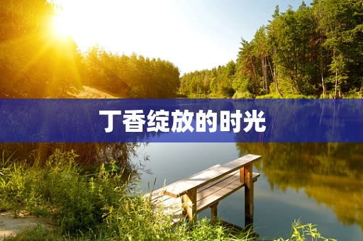 丁香绽放的时光
