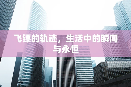 飞镖的轨迹，生活中的瞬间与永恒