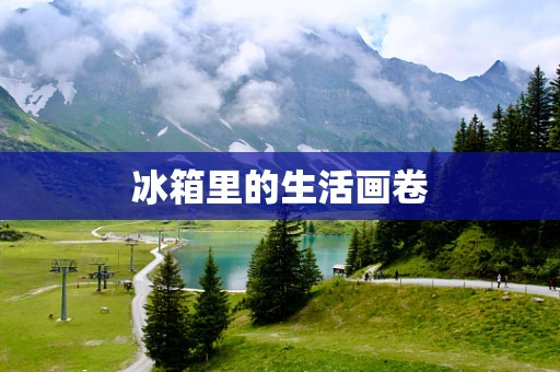 冰箱里的生活画卷