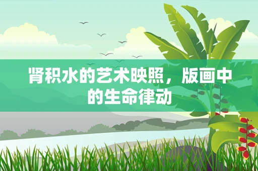 肾积水的艺术映照，版画中的生命律动