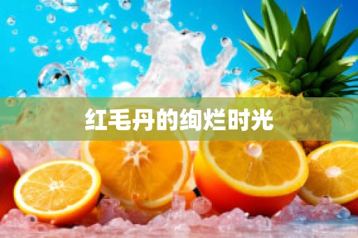 红毛丹的绚烂时光