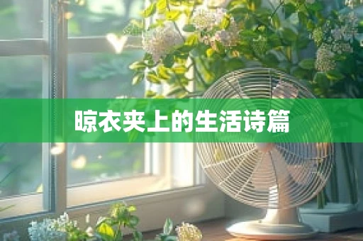 晾衣夹上的生活诗篇