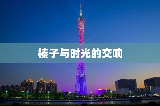 榛子与时光的交响