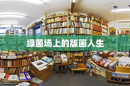 绿茵场上的版画人生