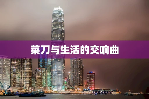 菜刀与生活的交响曲