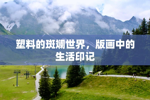 塑料的斑斓世界，版画中的生活印记