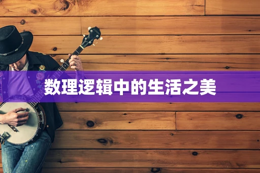 数理逻辑中的生活之美