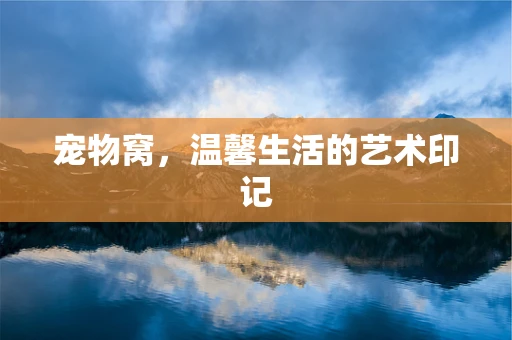 宠物窝，温馨生活的艺术印记