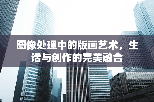 图像处理中的版画艺术，生活与创作的完美融合
