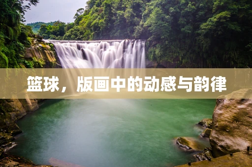 篮球，版画中的动感与韵律