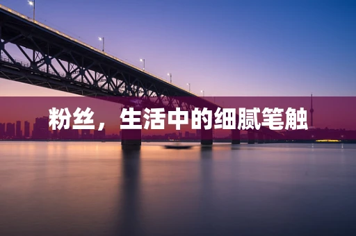 粉丝，生活中的细腻笔触
