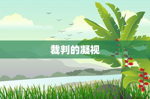 裁判的凝视