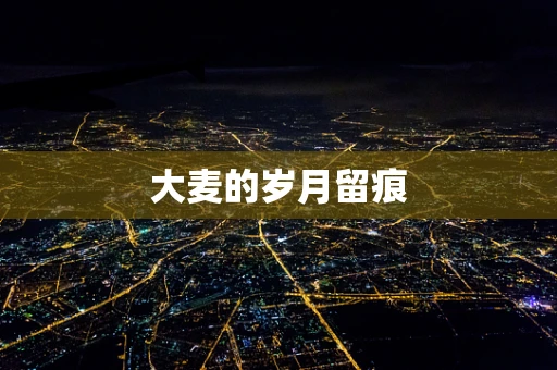大麦的岁月留痕