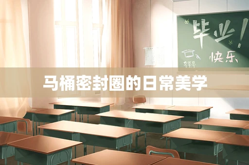 马桶密封圈的日常美学