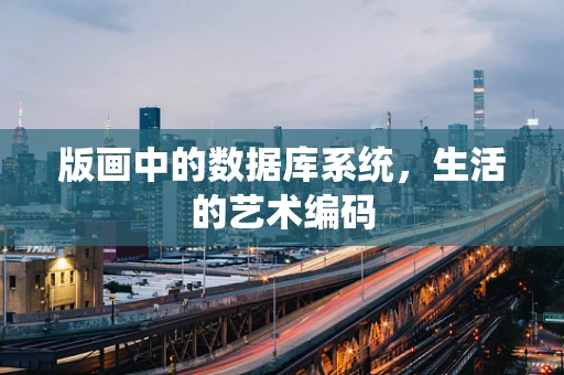 版画中的数据库系统，生活的艺术编码