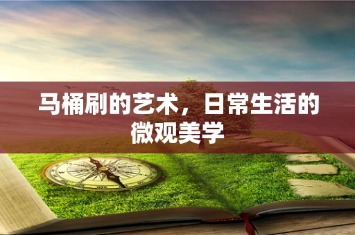 马桶刷的艺术，日常生活的微观美学