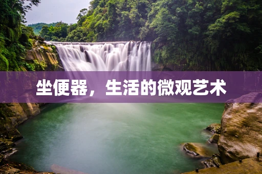 坐便器，生活的微观艺术