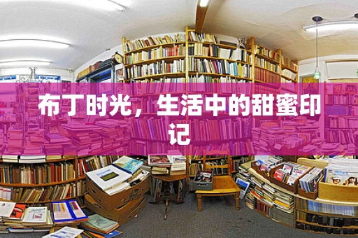 布丁时光，生活中的甜蜜印记