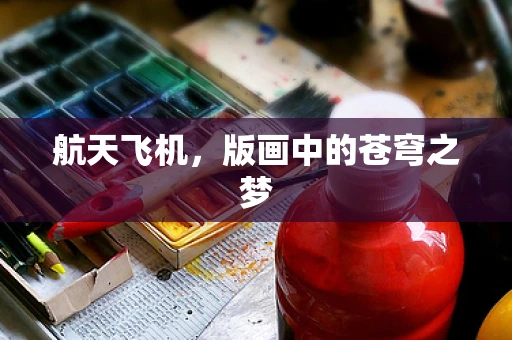 航天飞机，版画中的苍穹之梦