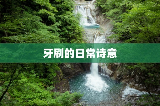 牙刷的日常诗意