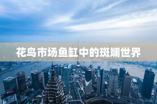 花鸟市场鱼缸中的斑斓世界