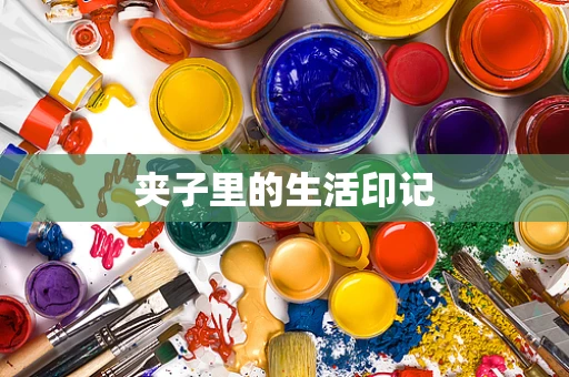 夹子里的生活印记